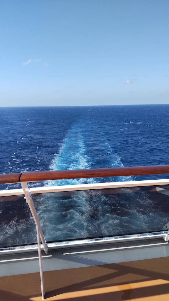 [ くらしネット神奈川：経験豊富な専門家集団 ] 大型クルーズの魅力と驚き：初体験レポート