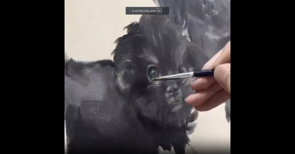 knk_post_時々お店を開きます202504_03