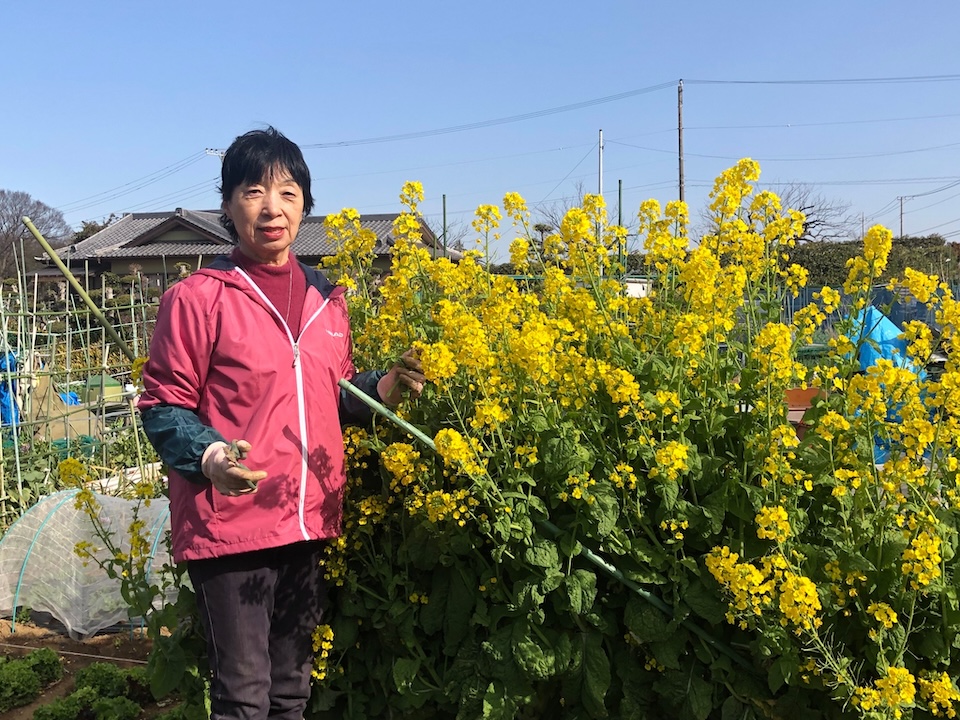 knk_post_畑は私の秘密基地_01